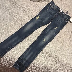 Hudson Jeans Dark Wash Denim